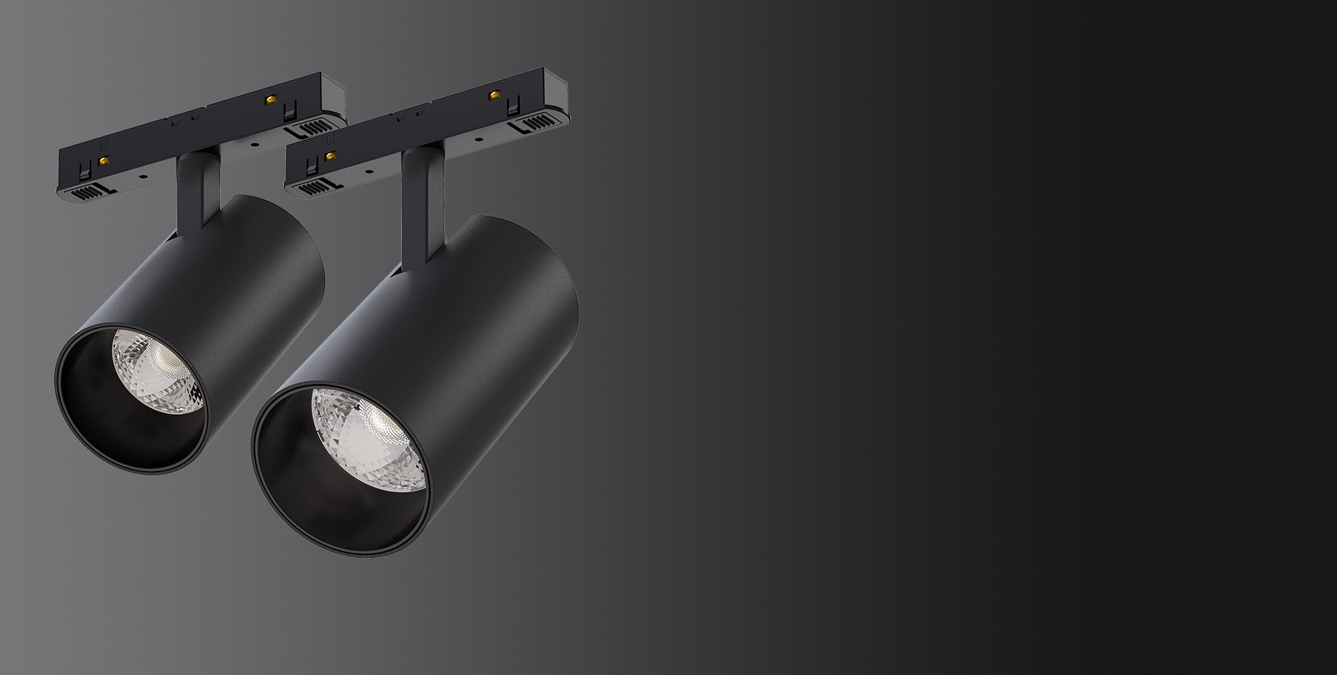 META E 48V Low Voltage Track Heads