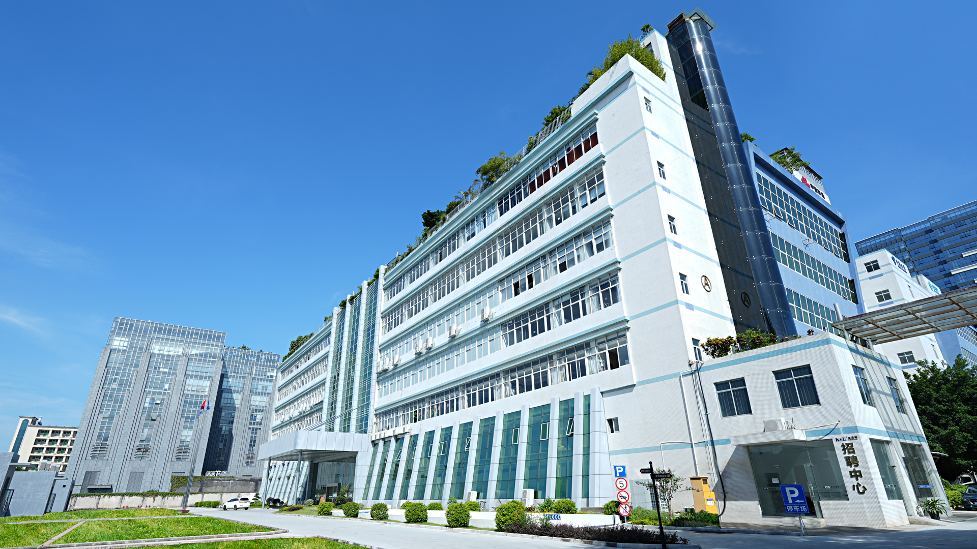 Kinglumi around the world 