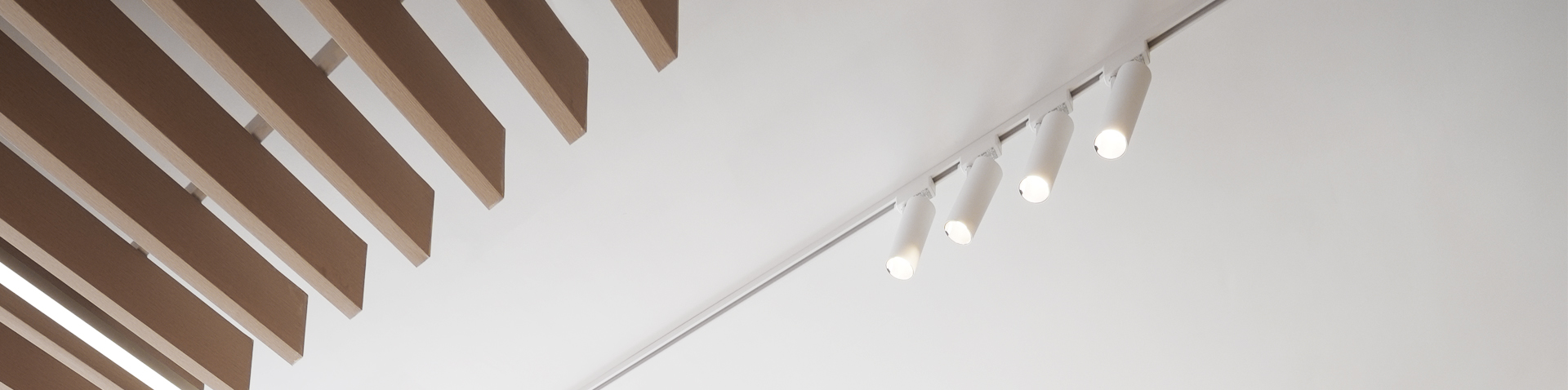 Want to know more about Kinglumi? 