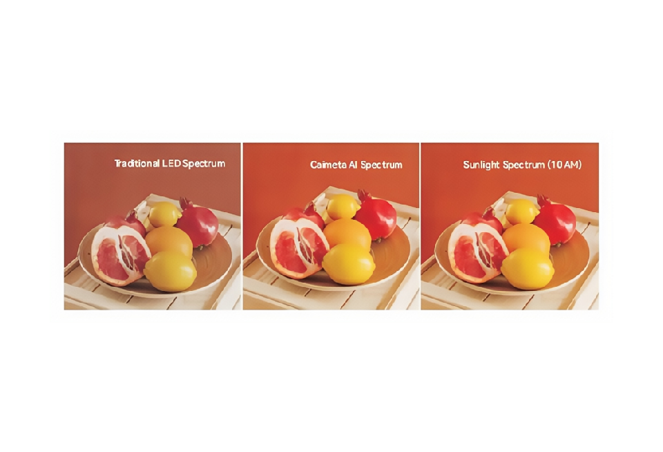 Core function 1: Automatically detect objects | match the best spectrum