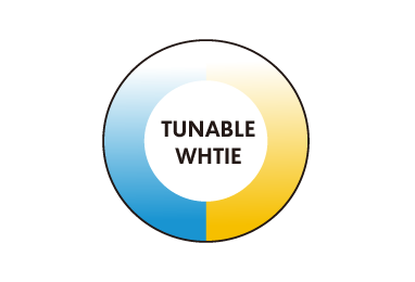 DALI 2 & Push-DIM to Universal load ( RCL+ TTW)