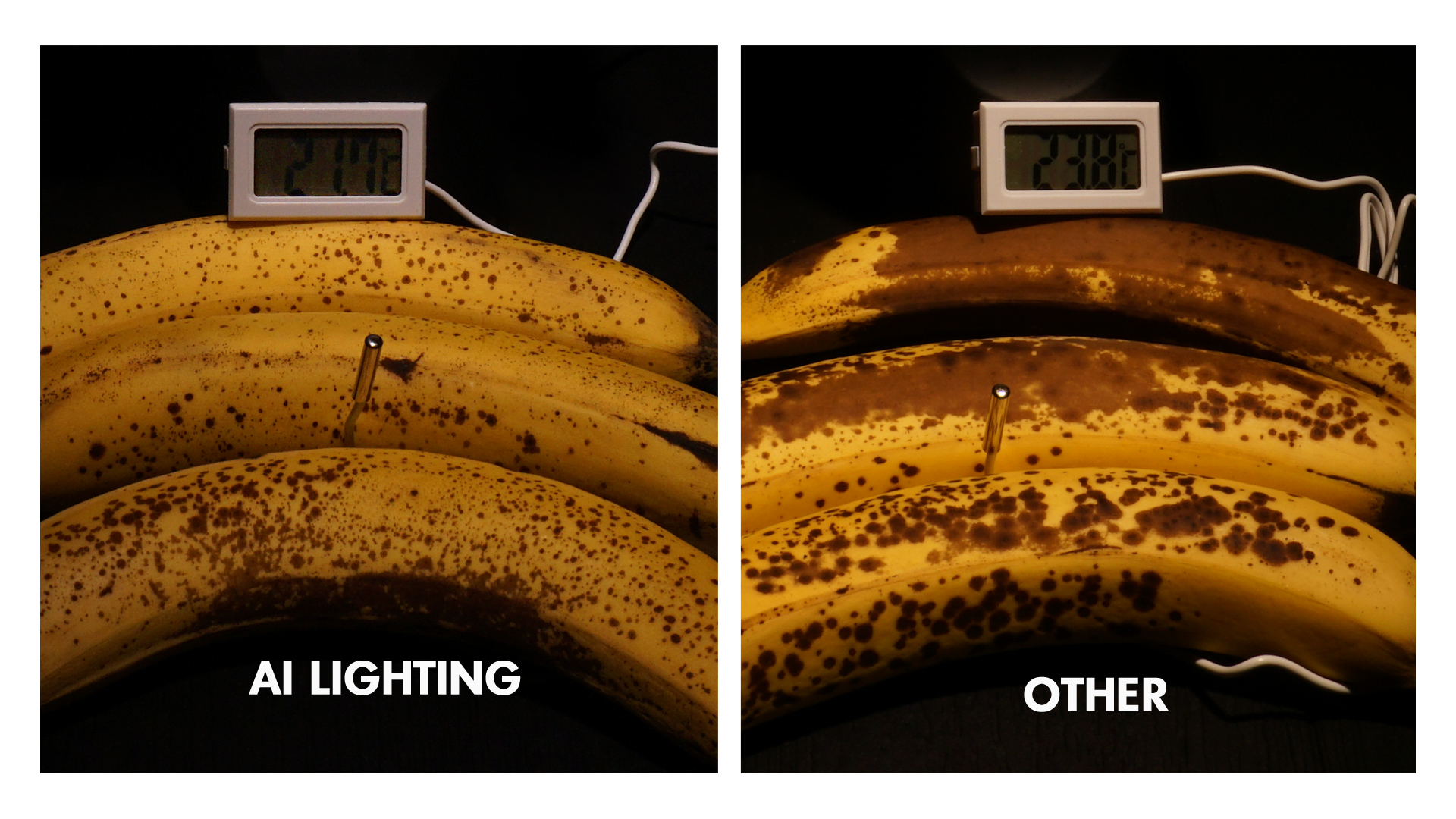 An Interesting Trial: Kinglumi’s Caimeta AI Lighting vs. Ordinary Lighting